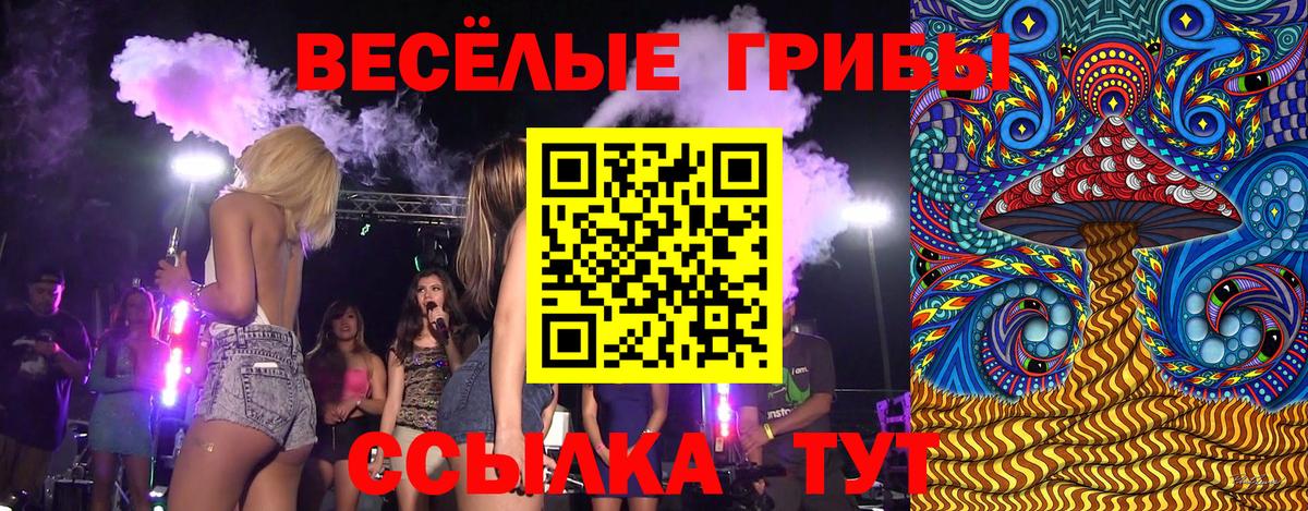 Псилоцибиновые грибы GOLDEN TEACHER Кириши
